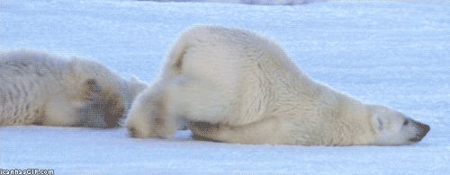 2.gif