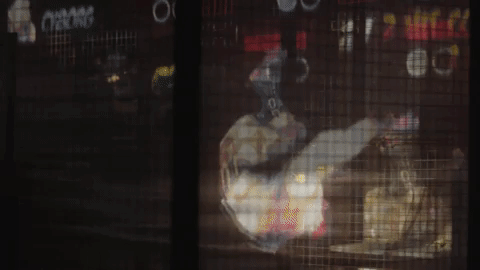 640_12.gif