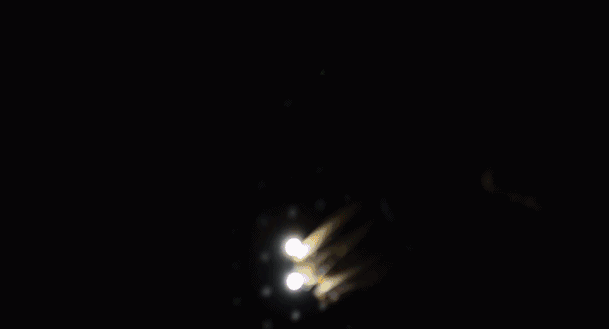 640_8.gif