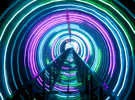 459_338gif 动态图 动图