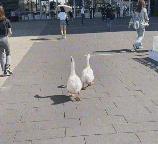 640_2.gif