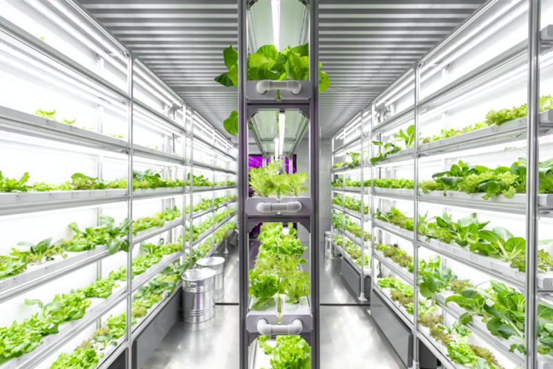 果园老农「of green:未来城市农场」概念体验展 in 上海徐汇区